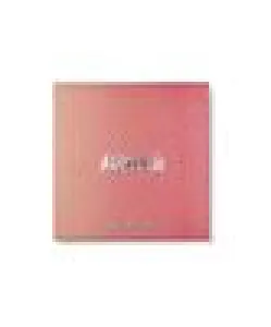 PALETTE BLUSHER